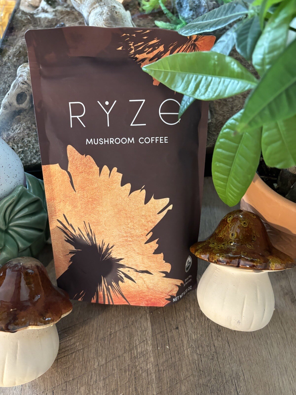 RYZE bag lifestyle hero (pre-existing; source not recorded)