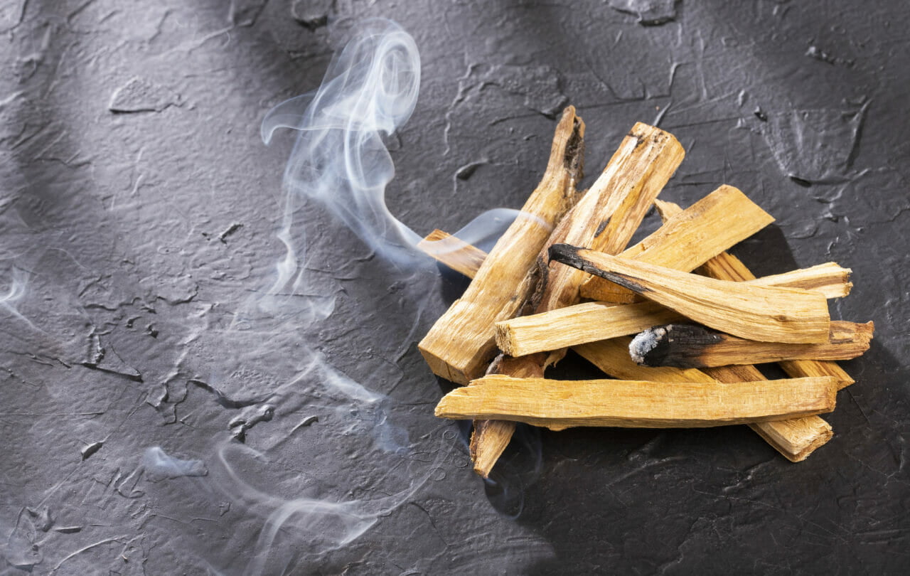 Smoke curling from a smoldering palo santo stick, close-up